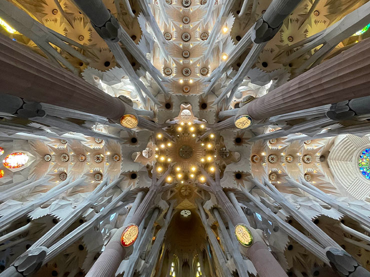 The elaborate architecture of a portion of the ceiling of the Sagrada Familia church in Barcelona, Spain, as seen from below.