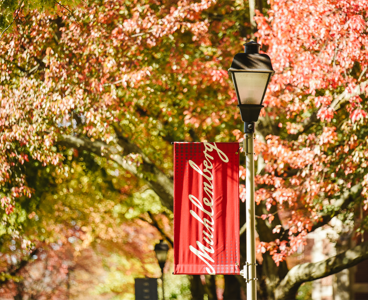 A red banner that reads Muhlenberg hangs on a lampost, surrounded by brightly-colored fall foliage.