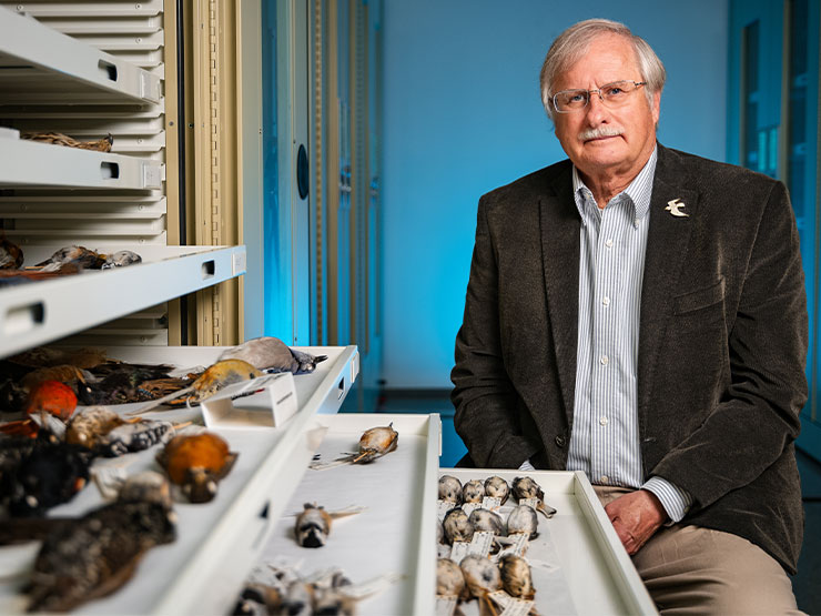 A man in a suit jacket sits near a set of drawers containing taxidermized bird specimens.