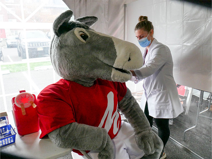 An oversized Mule mascot wearing a red t-shirt with an M on it receives a shot in the arm.
