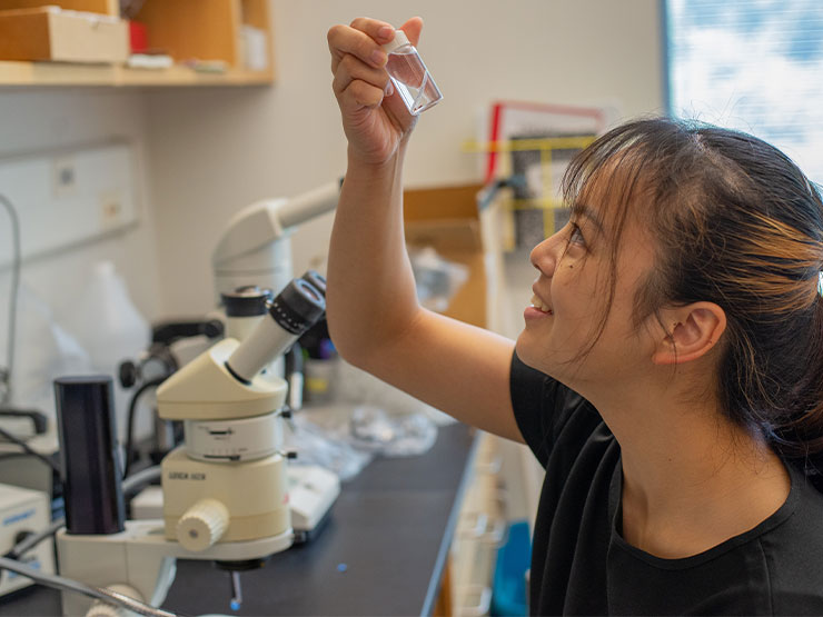 A college student holds up and examines a vial of clear liquid in a lab.