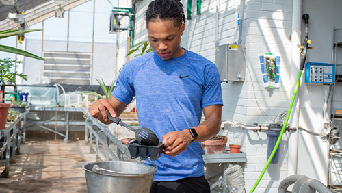 A student in a blue shirt uses a spoon to scoop soil into a container inside of a greenhouse.