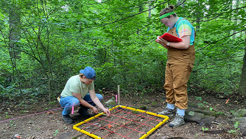 Two students perform archeological work in a forested area.