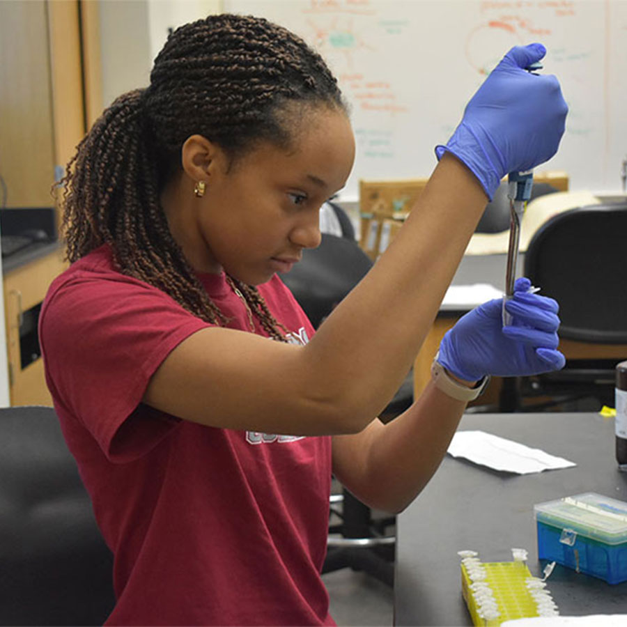 A college student in a red shirt wearing blue gloves does chemistry research.