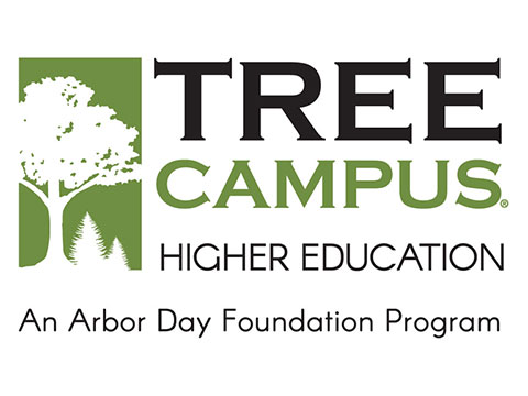 Logo for TreeCampus Higher Education