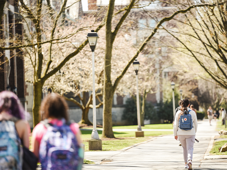 Students walk down tree-lined academic row in Muhlenberg College  in early spring.