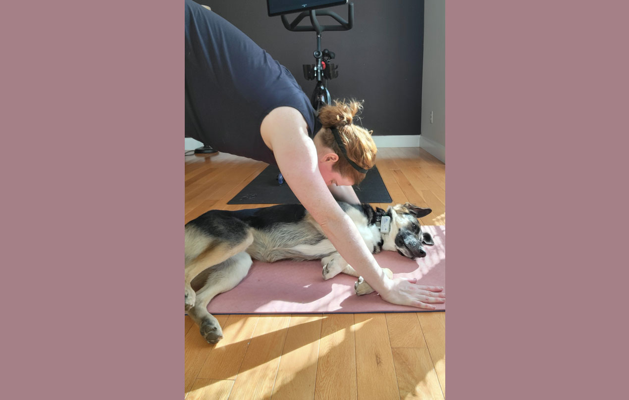 Image for Working out with friends is great for mental and physical health. Whenever I workout at home my best friend can't help but join. A new meaning to down dog. (Physical)