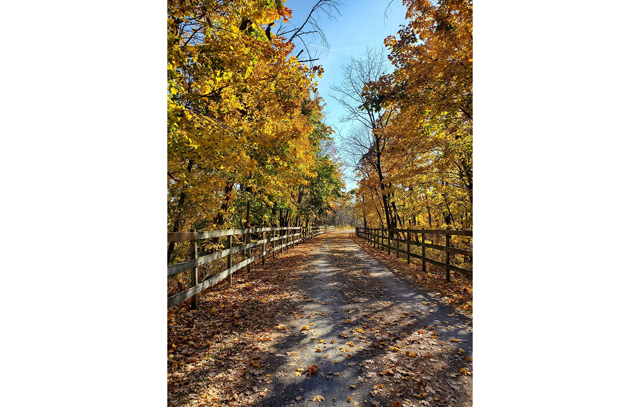 Image for Saucon Rail Trail near Coopersburg, PA (Physical)