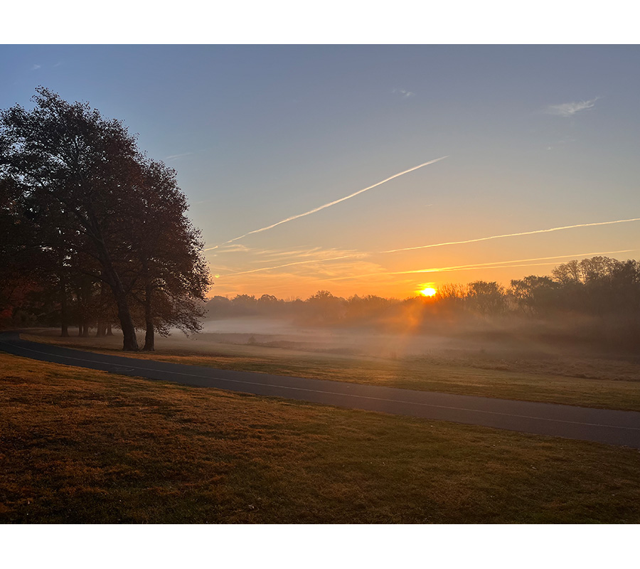 Image for Early morning fall walk in the park (Mental/Emotional)
