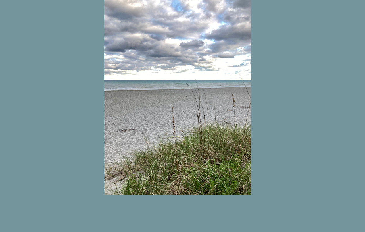 Image for Saltwater and fresh air on Florida's east coast (mental/emotional)