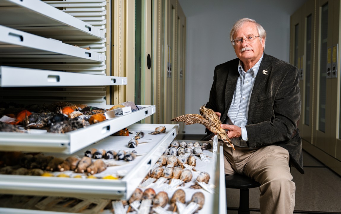 A man sits next to rows of preserved bird specimens in an ornithology museum..