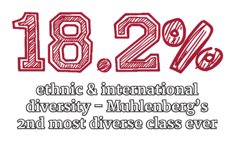 Class of 2020 - Diversity graphic