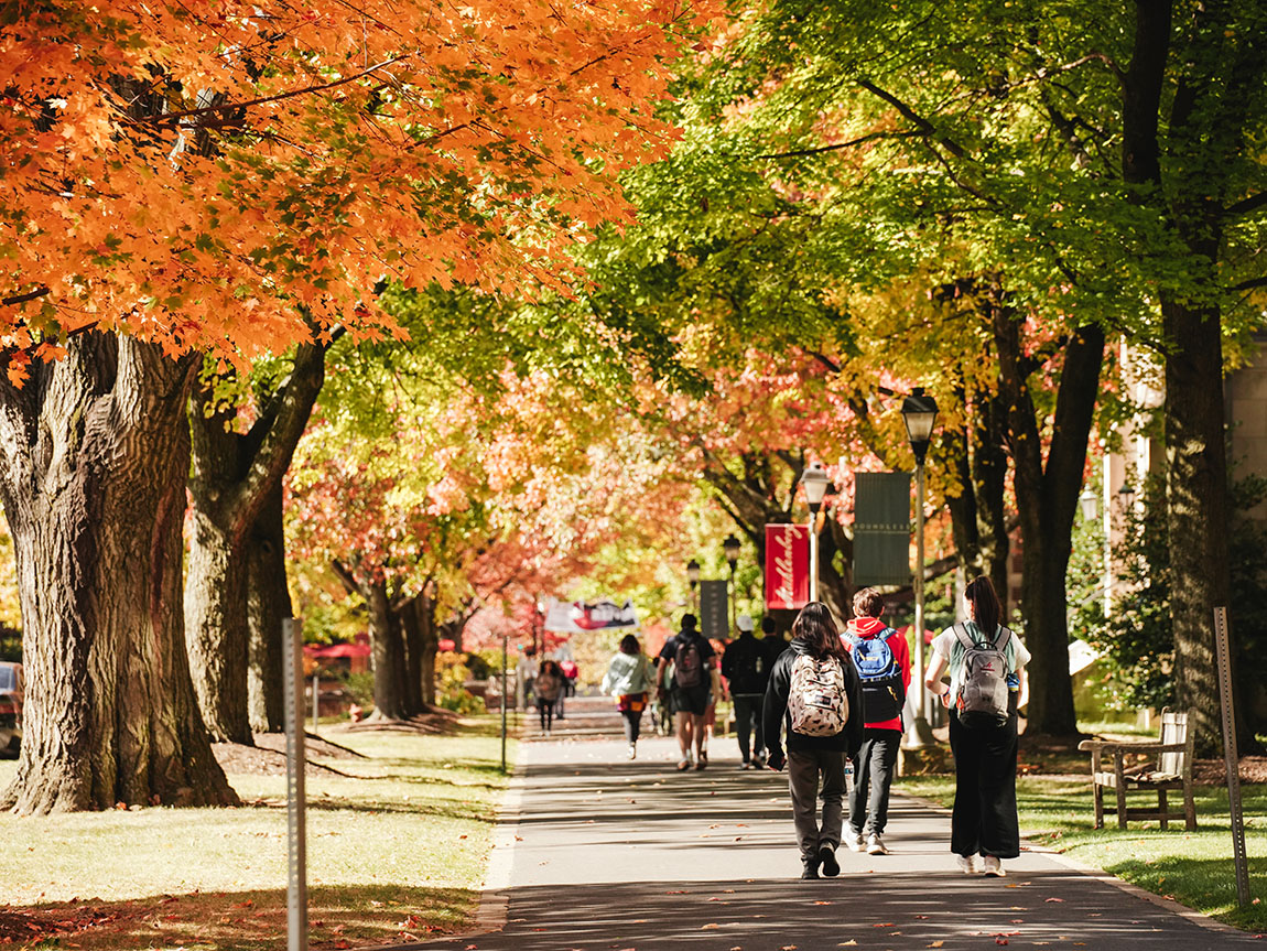 Students walk on a college campus in the fall beneath brightly colored trees