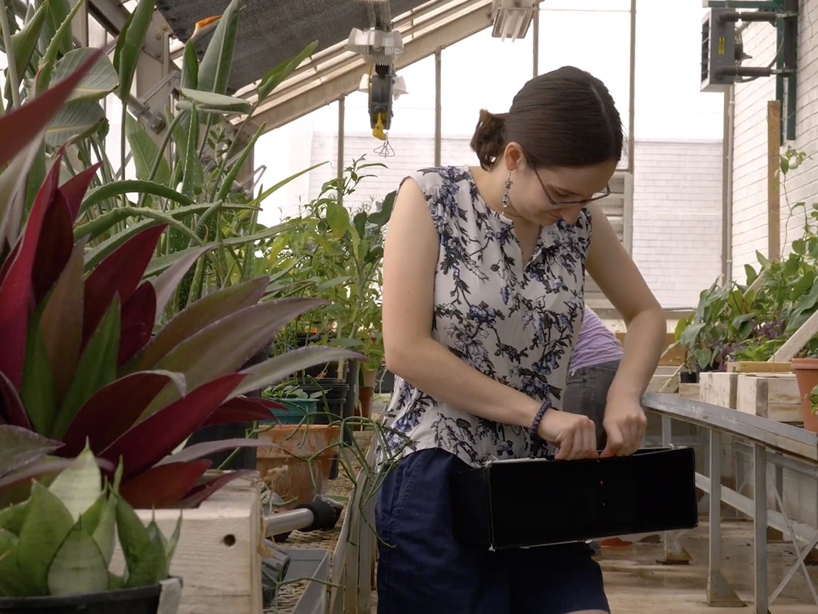 Image for Environmental Science Major Designs a Living Green Wall on Campus